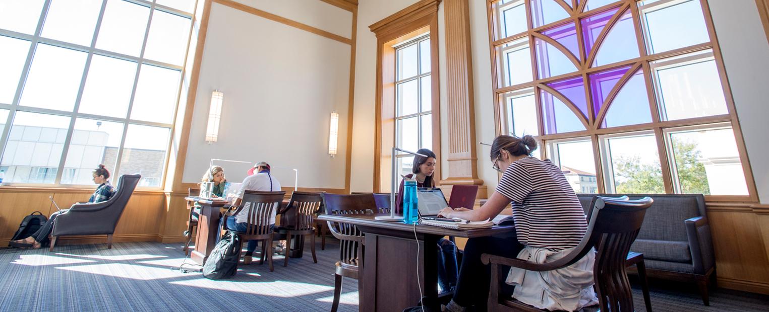 Male and female students studying in Rees-Jones 