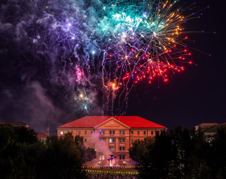 Fireworks over Frog Fountain