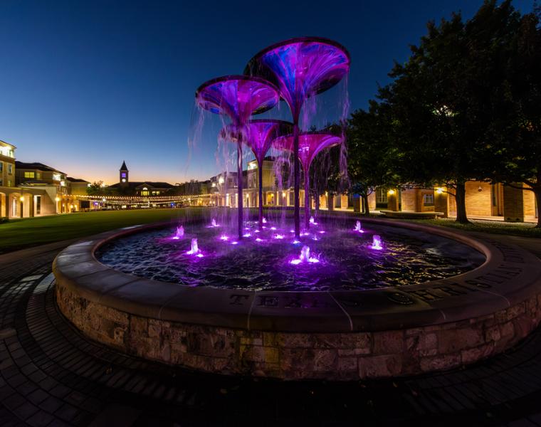 Frog Fountain lit up at night