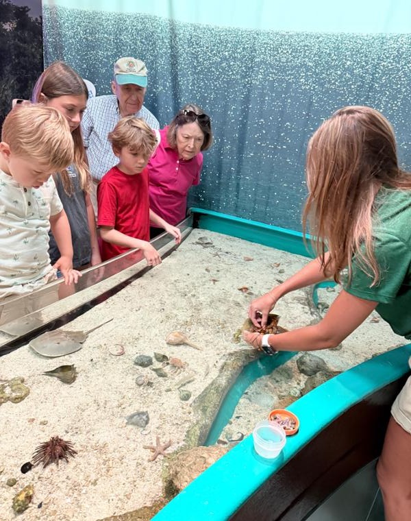 Emma Phelan at the 'Touch Tank'