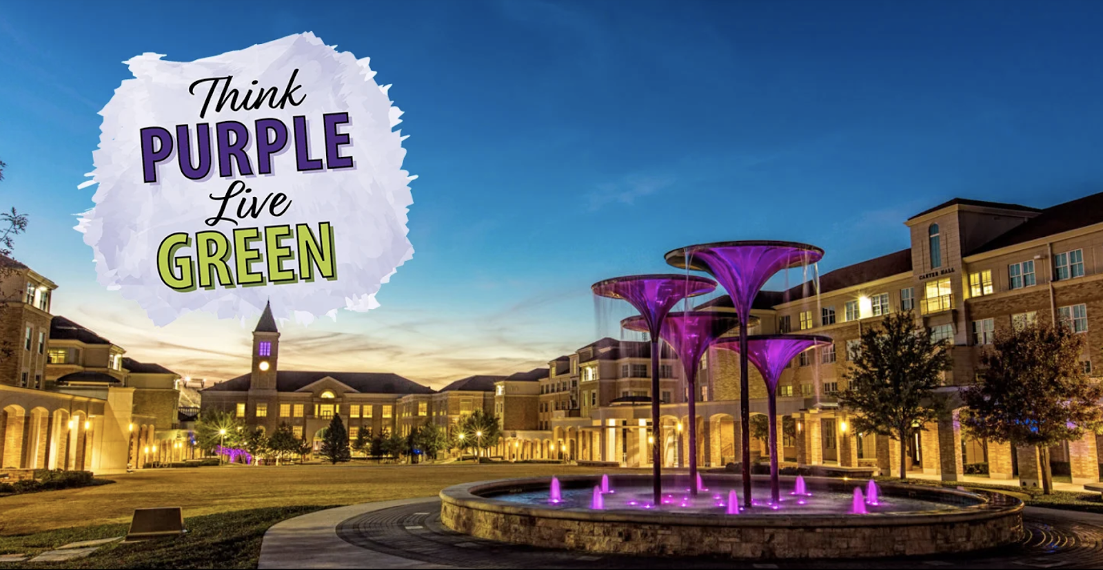 Image of frogfountain at down with a watercolor graphic that says think purple live green