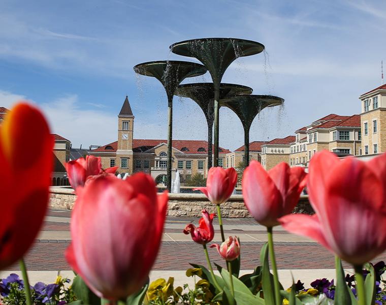 Tulips blooming with frog fountain in the background