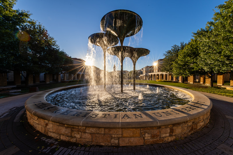 Frog Fountain