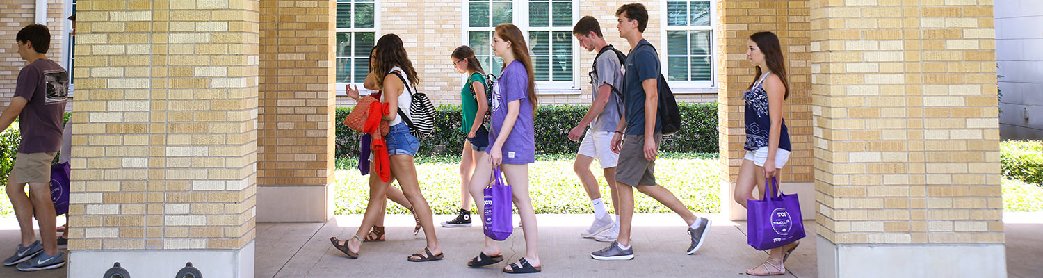 Students walk along the Campus Commons